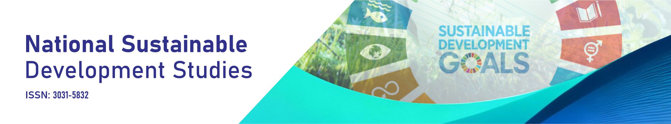 National Sustainable Development Studies