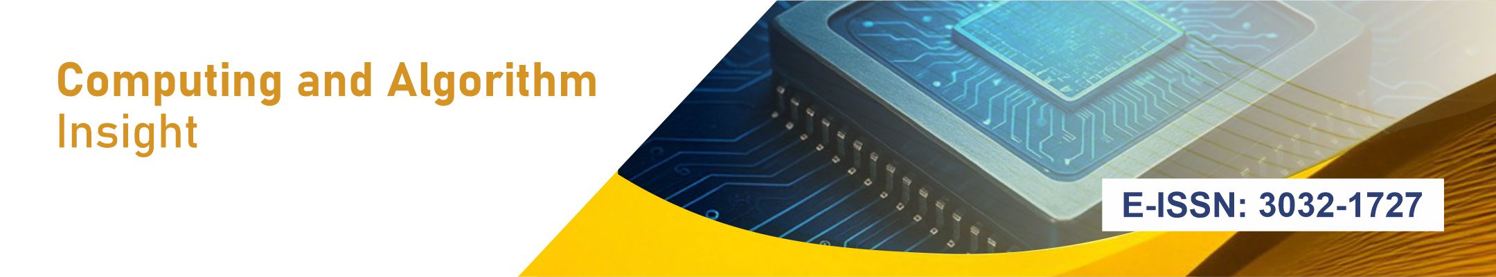 Computing and Algorithm Insight